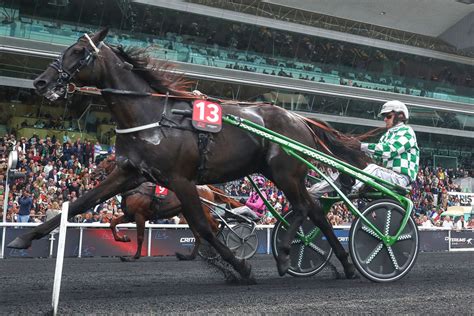 Justin Bold directement dans le Prix Ténor de Baune le 22 décembre