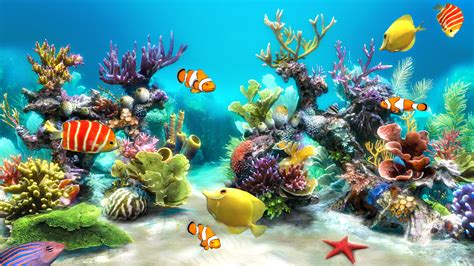 Aquarium Live Wallpaper Windows 10 | Aquarium live wallpaper, Fish ...