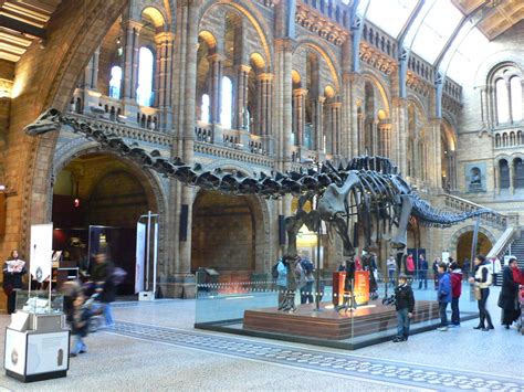 Entrance Hall Of The Natural History Museum This Photo Lin Flickr