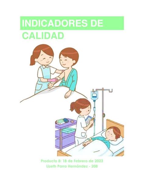 Indicadores De Calidad Liz Parra Udocz