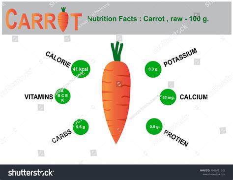 Carrot Nutrition Facts Stock Vector Royalty Free 1098461942 Shutterstock