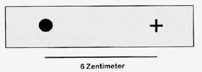 Experimente Und Projekte Im Biologieunterricht Experimente Und