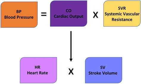 Inotrope Use In Children With Septic Shock A Guide For General