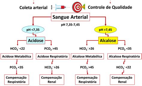 Caracterização dos distúrbios da regulação uma abordagem didática e