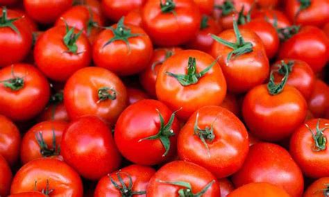 Tomato Prices Shoot Up To Rs Per Kg