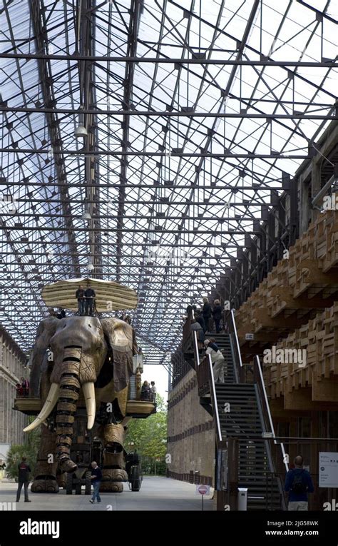 Mechanical Elephant In Nantes France Stock Photo Alamy