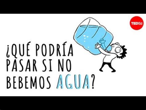 Qué actividades no podrían realizarse si no hubiera agua