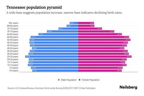 Tennessee Population By Age 2023 Tennessee Age Demographics Neilsberg