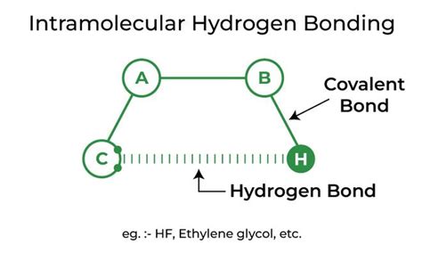 Hydrogen Bonding Definition Types Effects And Properties