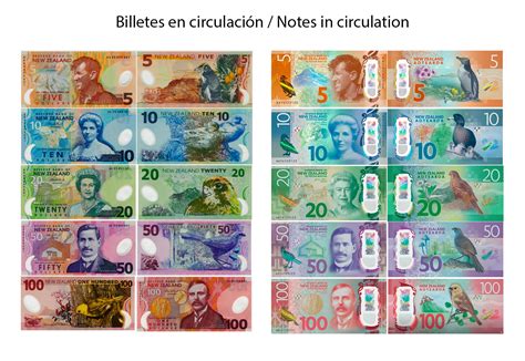 Currency Used In New Zealand – Currency Exchange Rates