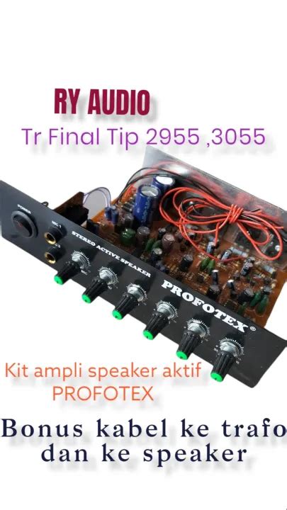 Ry Audio Kit Power Ampli Speaker Aktif Stereo Profotex Tip