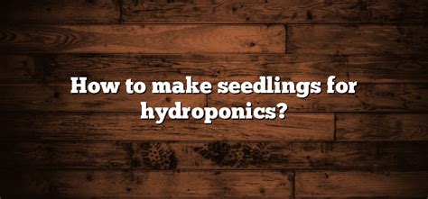 How To Make Seedlings For Hydroponics Inter Culturalu