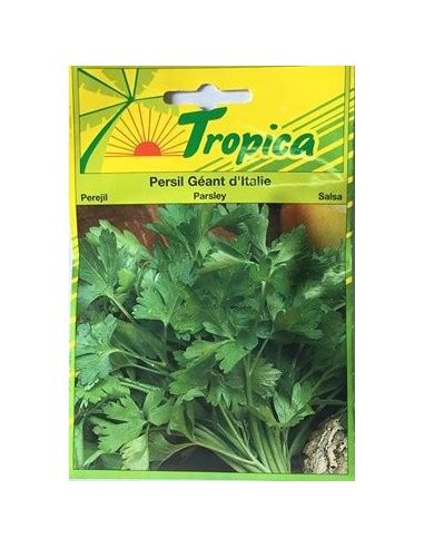 Graines De Persil G Ant D Italie Tropica