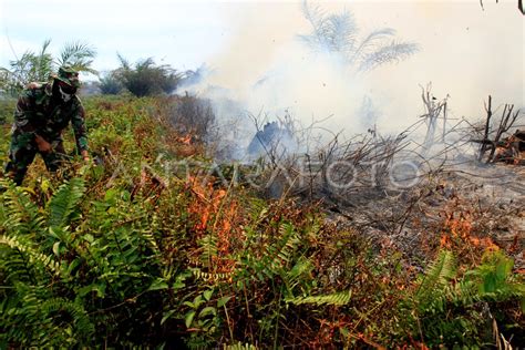 Kebakaran Lahan Gambut Di Nagan Raya Antara Foto