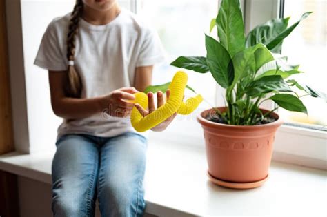 Antiestrés Sensorial Pop Tube Juguete Plástico En Las Manos De Un Niño