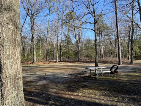 Belleplain State Forest At Lake Numny Campground Woodbine New Jersey