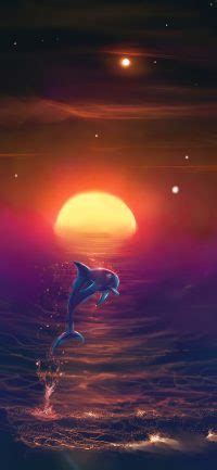 Dolphin Sunset Wallpaper - KoLPaPer - Awesome Free HD Wallpapers