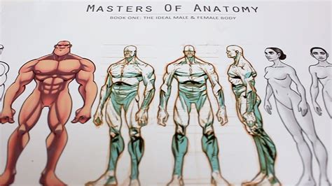 Masters of anatomy pdf - diybopqe