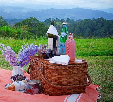 Los Esenciales Para Un Picnic Perfecto Anfitrionomía