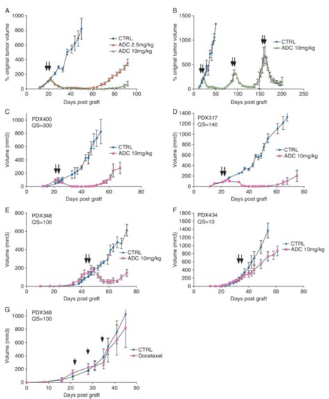 人迹罕至Nectin 4会成为ADC赛道潜力靶点吗医药新闻 ByDrug 一站式医药资源共享中心 医药魔方