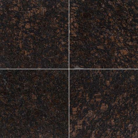 Tan Brown Granite Countertops And Tile Msi Surfaces