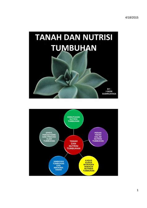 PDF TANAH DAN NUTRISI TUMBUHAN PDF Filetanaman Dengan C4 Dan