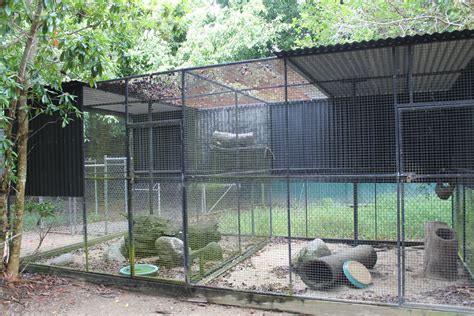 Northern Quoll Enclosure Zoochat