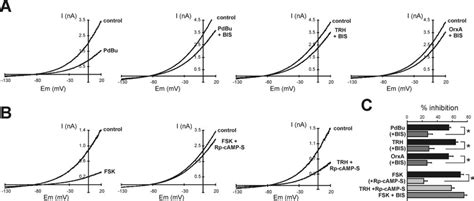 Trhr And Orx R Mediated Inhibition Involves Pkc But Not Pka A