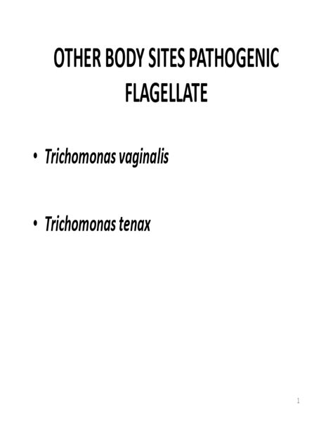 5b Handout Trichomonas Pdf Sexually Transmitted Infection Medical Specialties