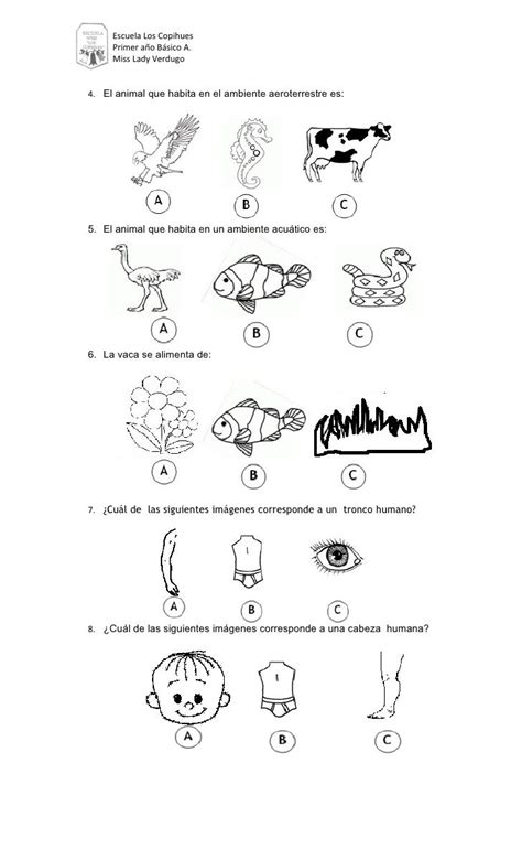 Evaluaci N De Ciencias Naturales Ciencias Naturales Ciencia De