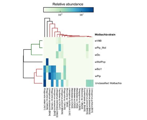 Metagenomic Phylogenetic Analysis Of Wolbachia Sequences From