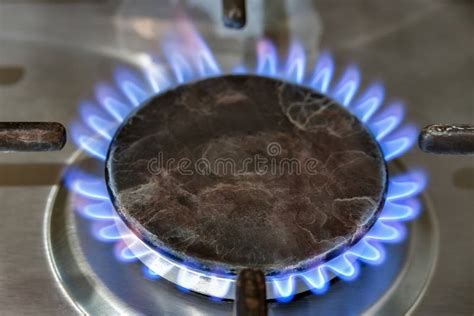 Burning Gas On A Gas Stove Burner Stock Photo Image Of Domestic