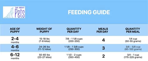 Feeding Your Lab Puppy: What, How Much, How Often? Lab Puppy Feeding ...