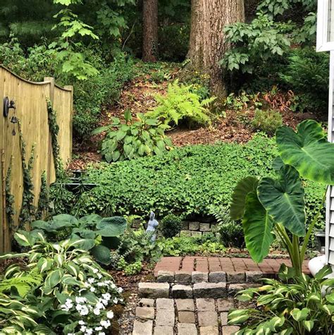 The Top 73 Shade Garden Ideas LaptrinhX News