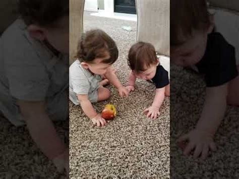 Funny Baby Twins Brothers Fighting For Food Apple Funny Twin Video