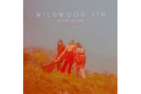 Album Review: Wildwood Kin by Wildwood Kin (8/10) - Music Connection ...