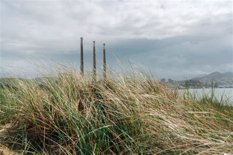 Sand Dunes Native Plants And Power Plants On Morro Bay California