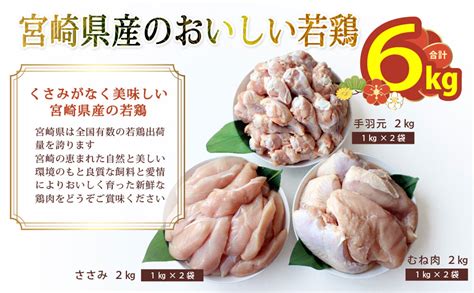 ふるさと納税 宮崎県産若鶏65kgセット ムネ2kg ササミ2kg 手羽元2kg 鶏ミンチ500g 鶏肉 九州産 宮崎 宮崎県川南町 衝撃特価