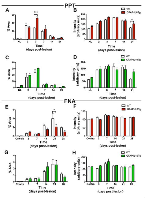 Temporal Pattern Of Trem Expression In Microglial Cells In Mice With