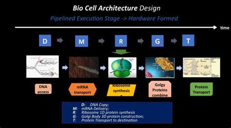 Bio Architecture — TROOS FOUNDATION