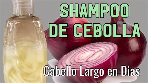 Como Hacer Crecer El Cabello Shampoo De Cebolla YouTube