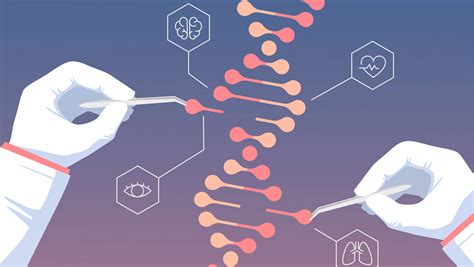 How Does Crispr Work Jonathanaberdein