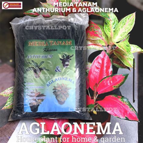 Jual Media Tanam Organik Khusus Anthurium Aglaonema Siap Pakai