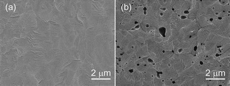 Scanning Electron Micrographs Of Surfaces Of The Anodic Films Formed By Download Scientific