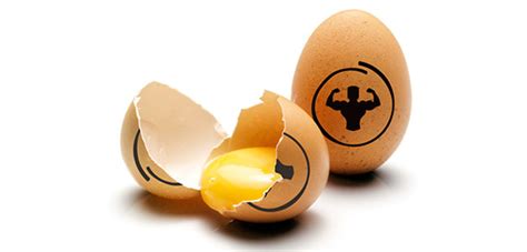 Egg Protein - Benefits on Health and Training » Health Articles