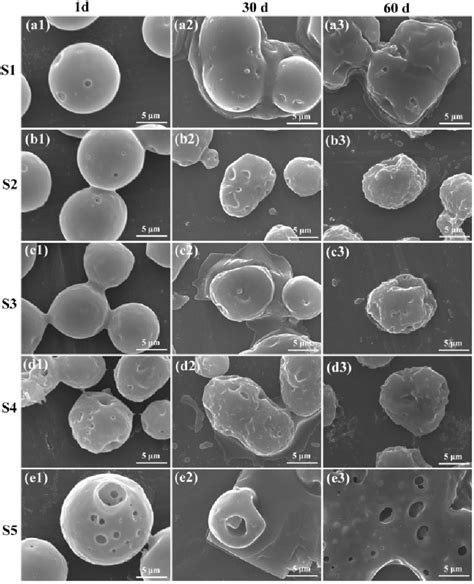 Typical Morphology Of Plga Microspheres With Congo Red Released After