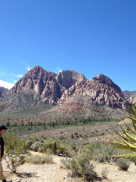 Red Rock Canyon National Park, Nevada 🇺🇸🇺🇸🇺🇸 | National parks, Natural ...