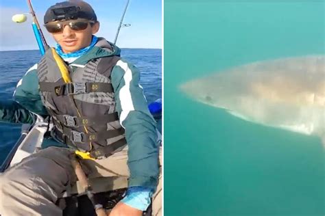 Heart Stopping Video Shows Enormous Great White Shark Circling Mans