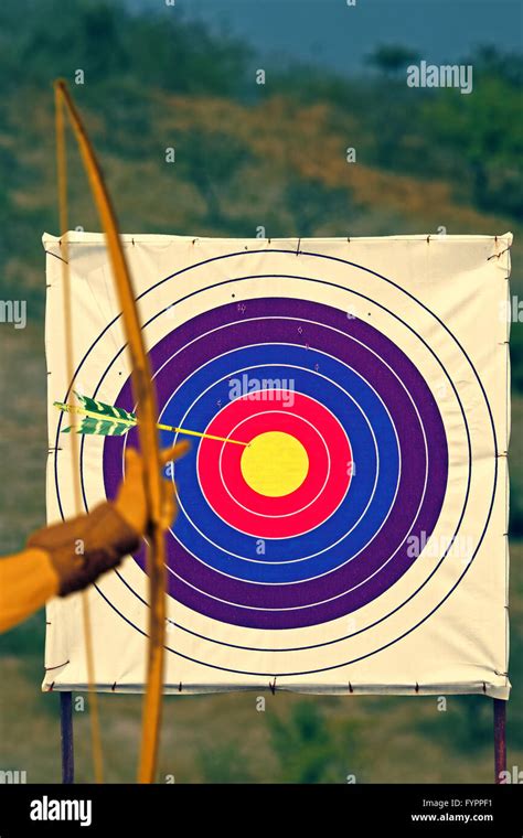 Archery Board And Arrows Hi Res Stock Photography And Images Alamy