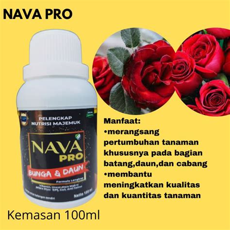 Jual Pupuk Bunga Mawar Agar Berbunga Lebat Nava Pro Pupuk Bunga Mawar